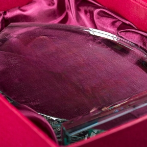 Nagroda za Osiągnięcia Trofeum za Zwycięstwo w Zawodach Sportowych - dowolny grawer w cenie + etui prezentowe puchar dyplom statuetka  0235c.jpg
