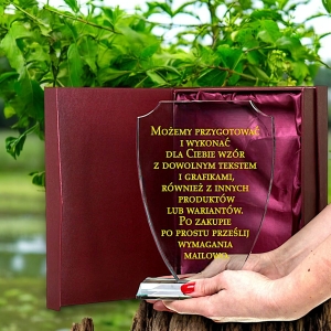 Tarcza Trofeum Nagroda Statuetka Sportowa Szklana za Wygraną na Zawody Sportowe Profesjonalne Amatorskie - dowolny grawer i etui w cenie - duże rabaty!  0276W60d.jpg