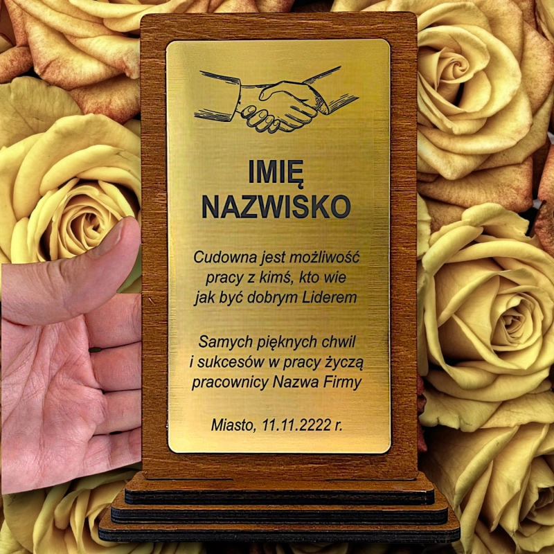 TANI Prezent dla Pracownika Szefa Kierownika na Jubileusz Zatrudnienia Odejście z Pracy na Emeryturę - Dyplom Uznania Trofeum 0358W17b.jpg