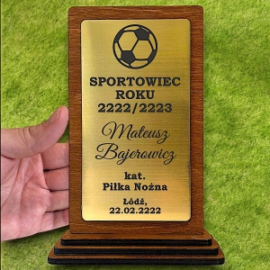 Tania Statuetka Puchar Trofeum na Zawody Sportowe Szkolne Studenckie - dowolny grawer w cenie 0358W25b.jpg