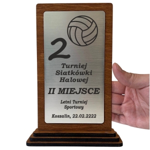 Trofeum Sportowe Tanie i Ładne Dyplom Nagroda na Zawody Konkurs w każdej dyscyplinie 0358W27a.jpg