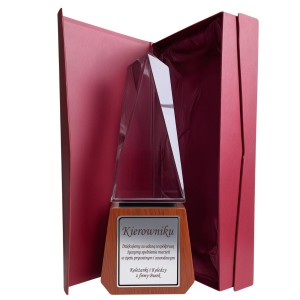 Nagroda trofeum gratulacje — zdjęcie 5