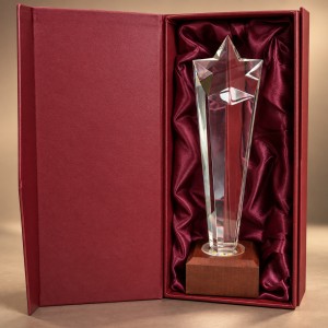 Bordowe etui z satynowym wnętrzem do statuetki 0369